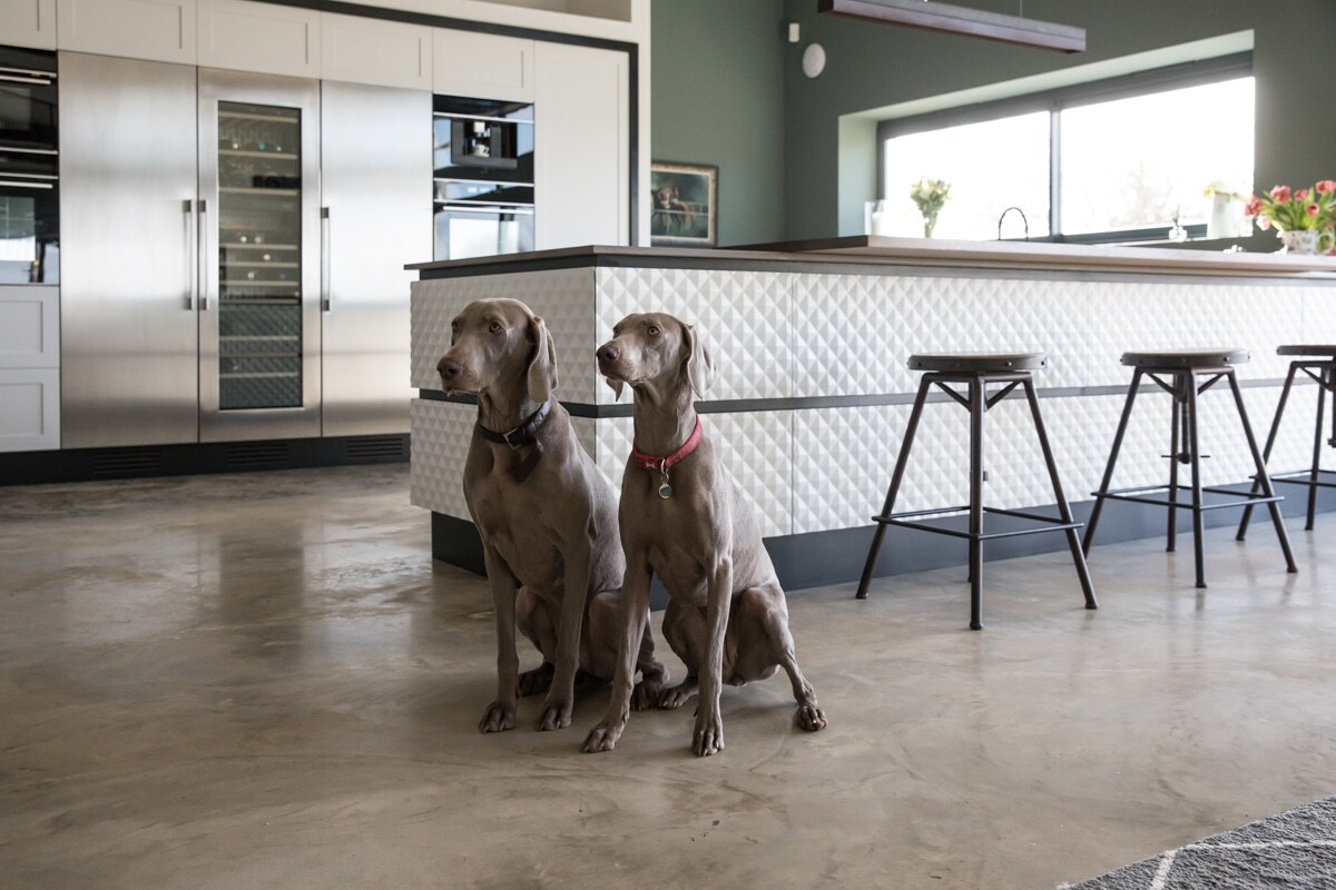 Evie-Willow-Hill-Farm-90-of-54